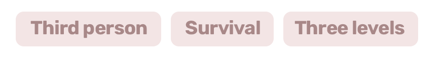 Three pink rectangles with text: "Third person," "Survival," and "Three levels."