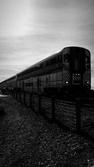530DAEAC-07DD-4D60-8FA1-99FFA119ED3B.jpg