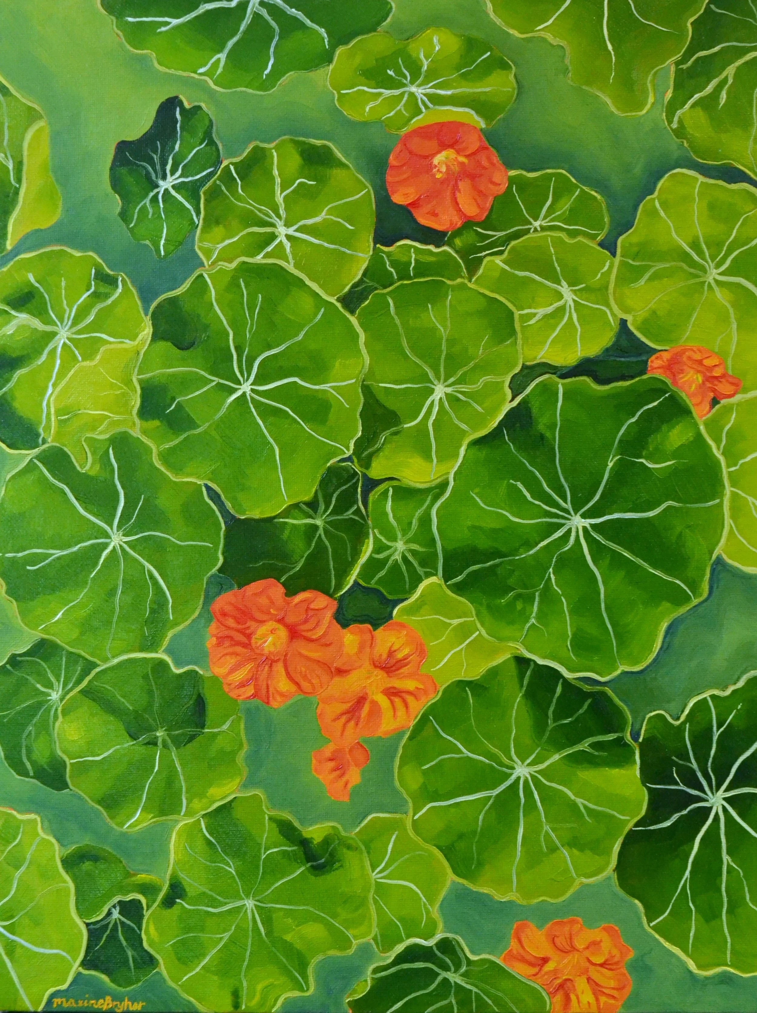 Nasturtiums
2024 - 297x420mm - oil paint on canvas board