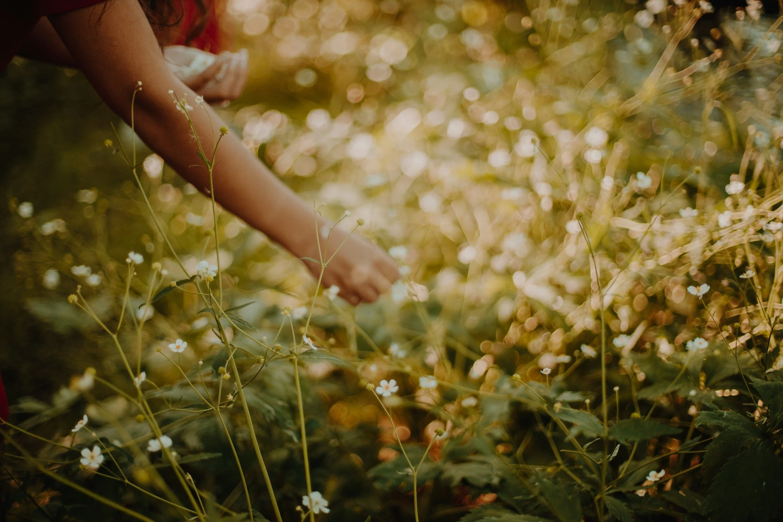 women picking wildflowers