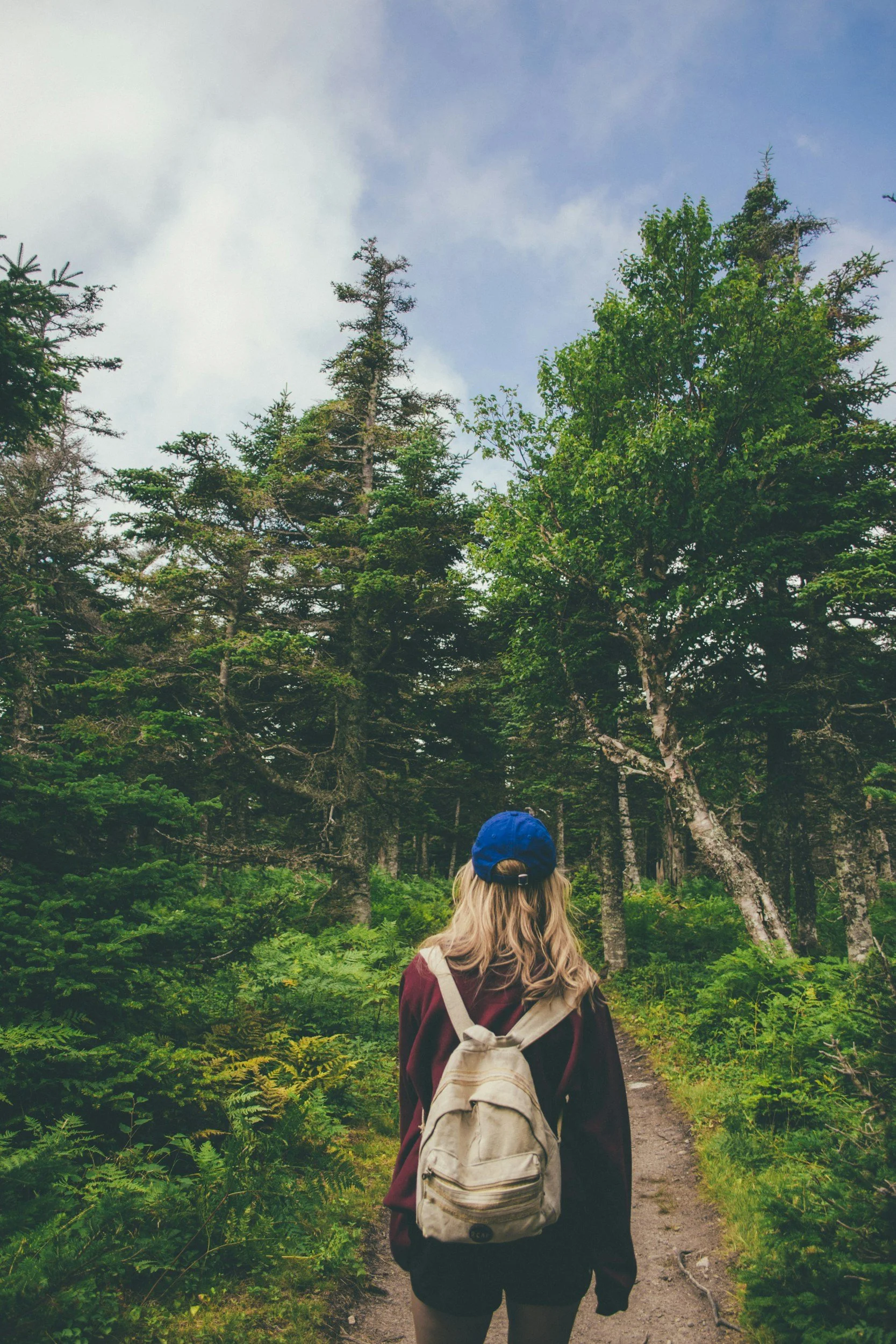 women hiking into woods