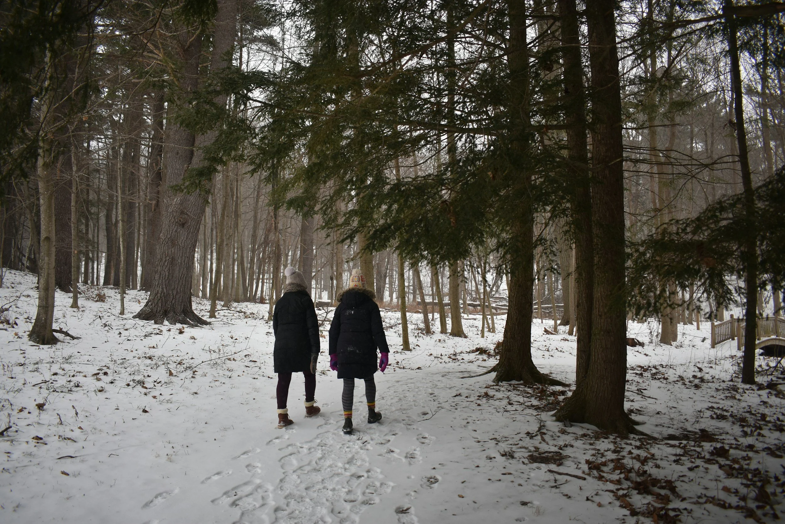 Two people walking through a snowy forest, wearing winter coats and hats.