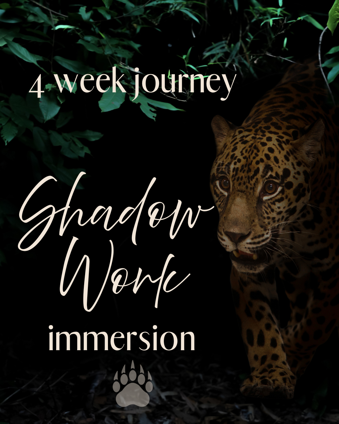 Shadow Work - 4 Week Journey
