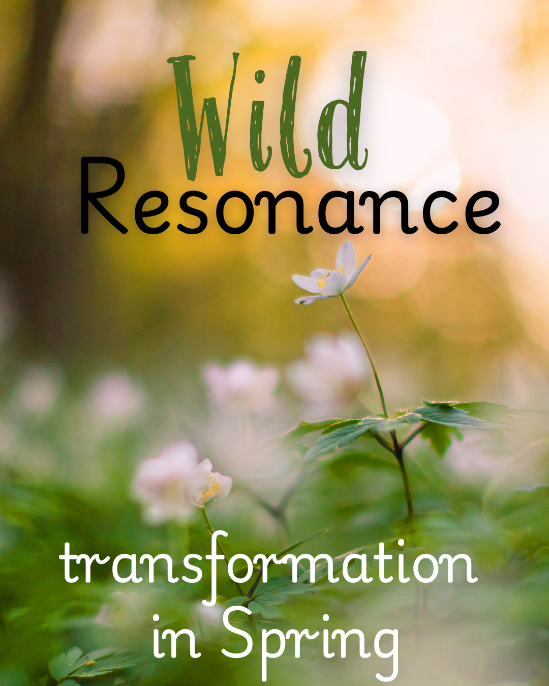 Wild Resonance - 4 Week Journey