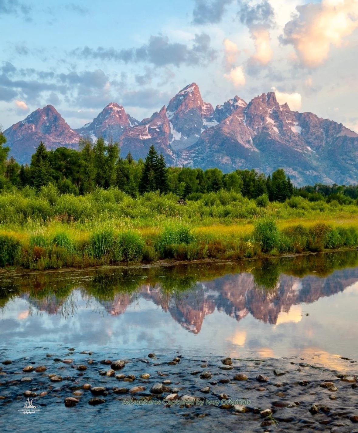 Vertical Nature Photography Canvas Prints