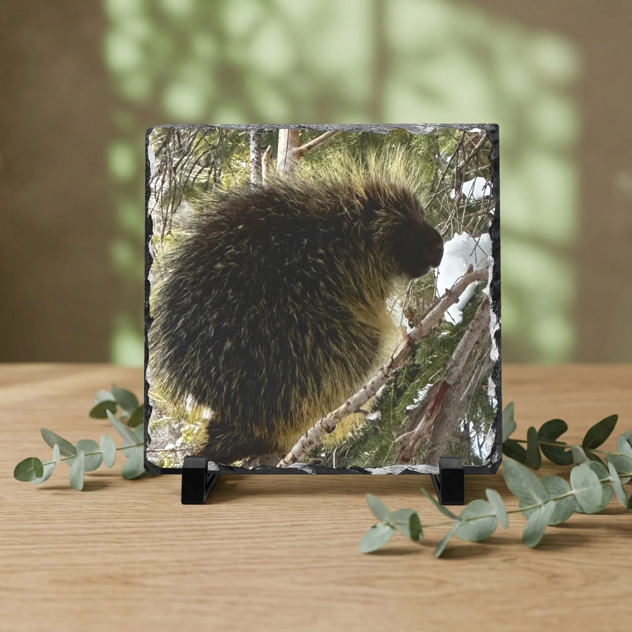 Captured Moments Natural Slate Plaques