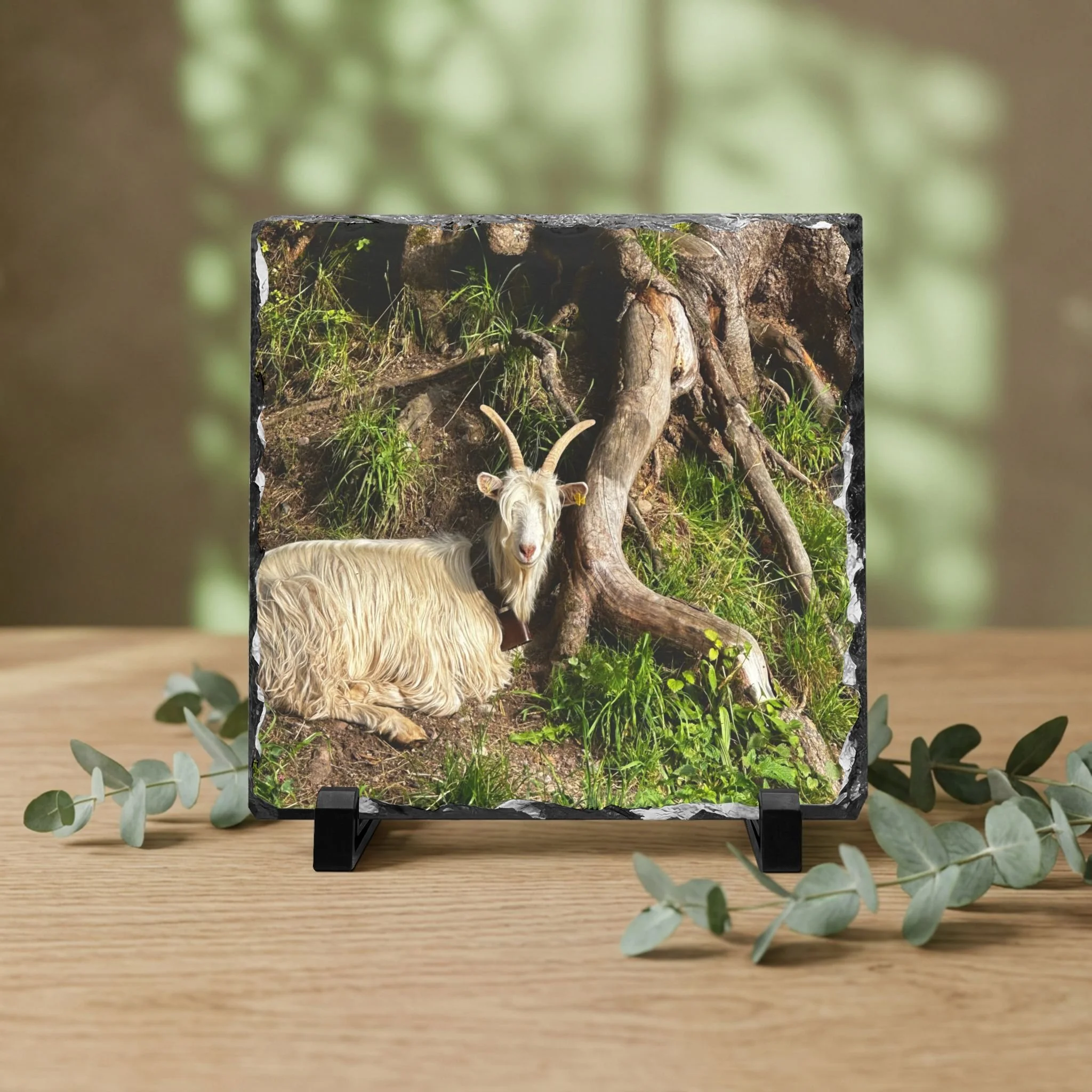 Captured Moments Natural Slate Plaques