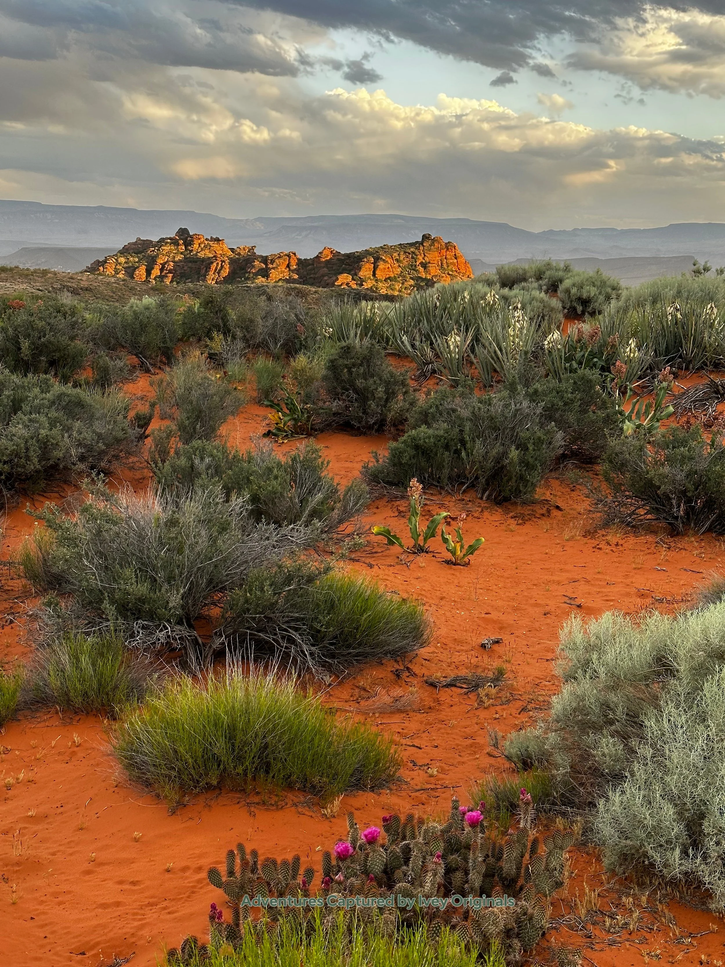 Vertical Nature Photography Canvas Prints