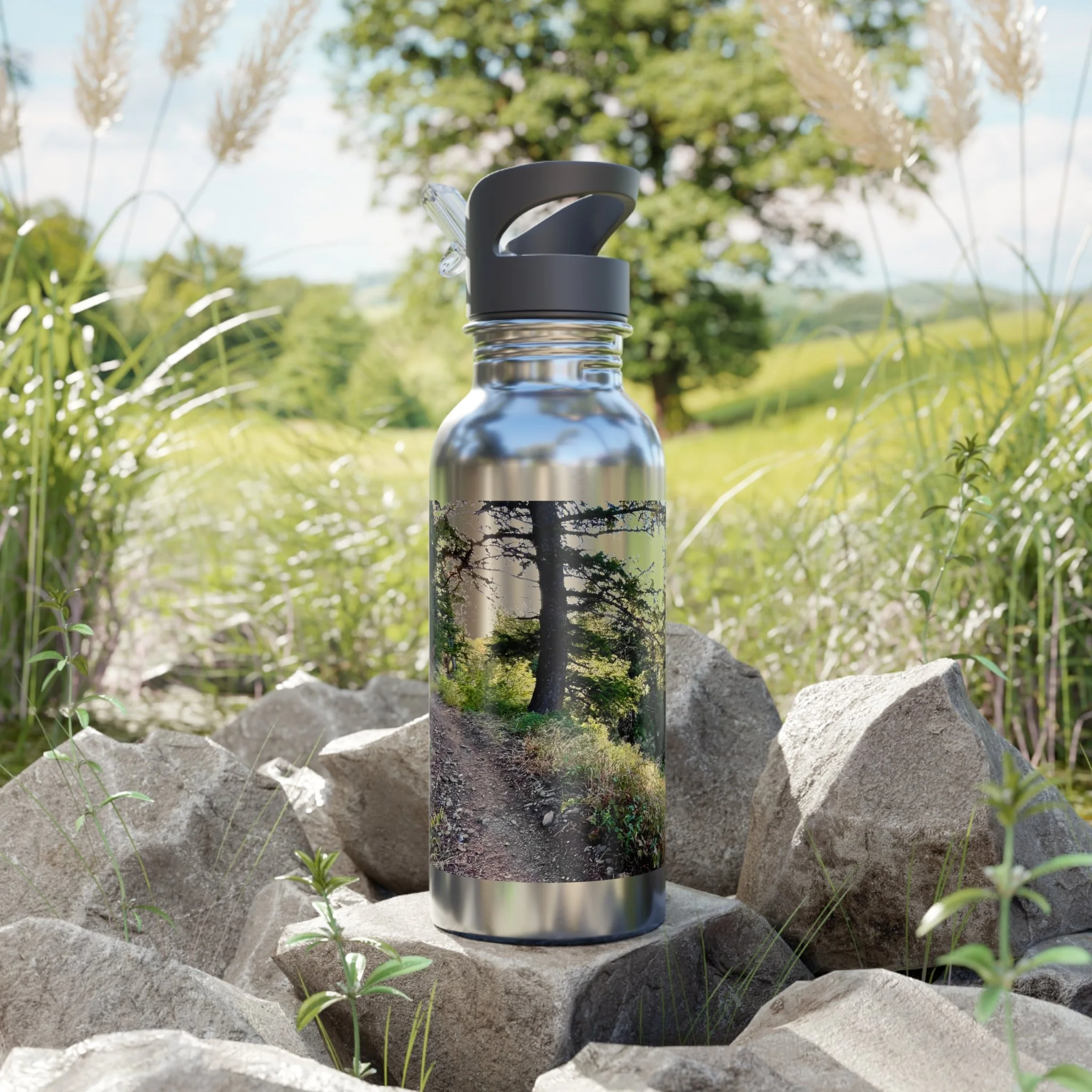 Captured Trails Stainless Steel Water Bottles