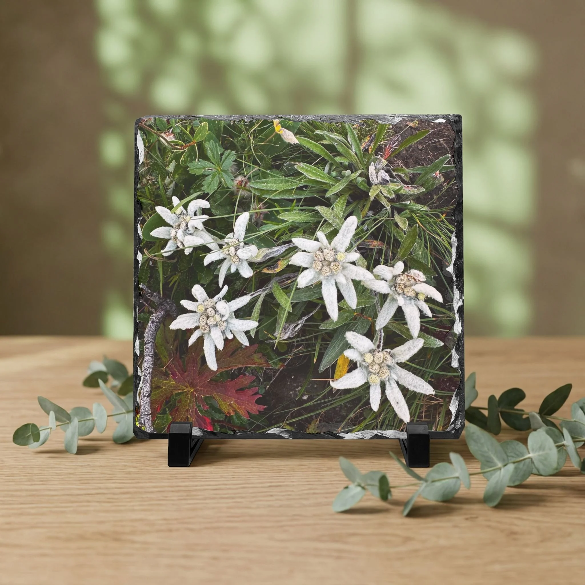 Captured Moments Natural Slate Plaques