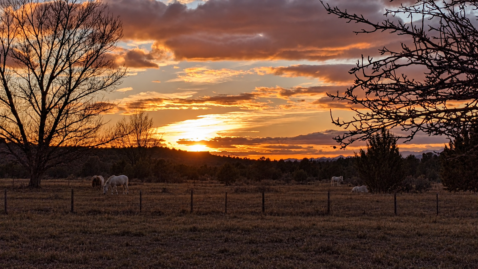 Horizontal Nature Photography Canvas Prints