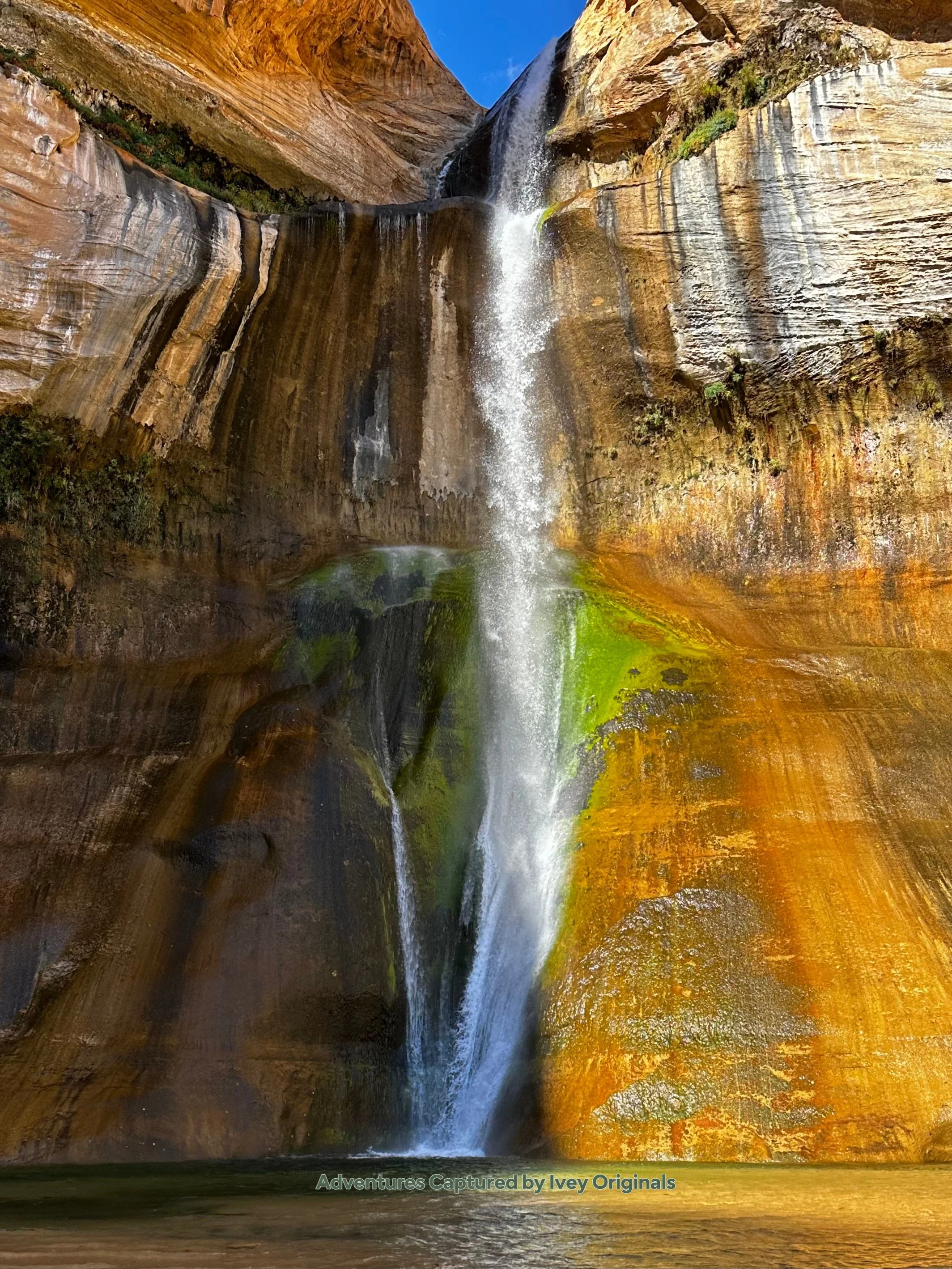 Vertical Nature Photography Canvas Prints