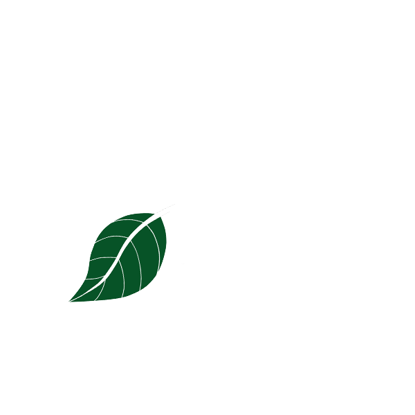 New England Tree Service