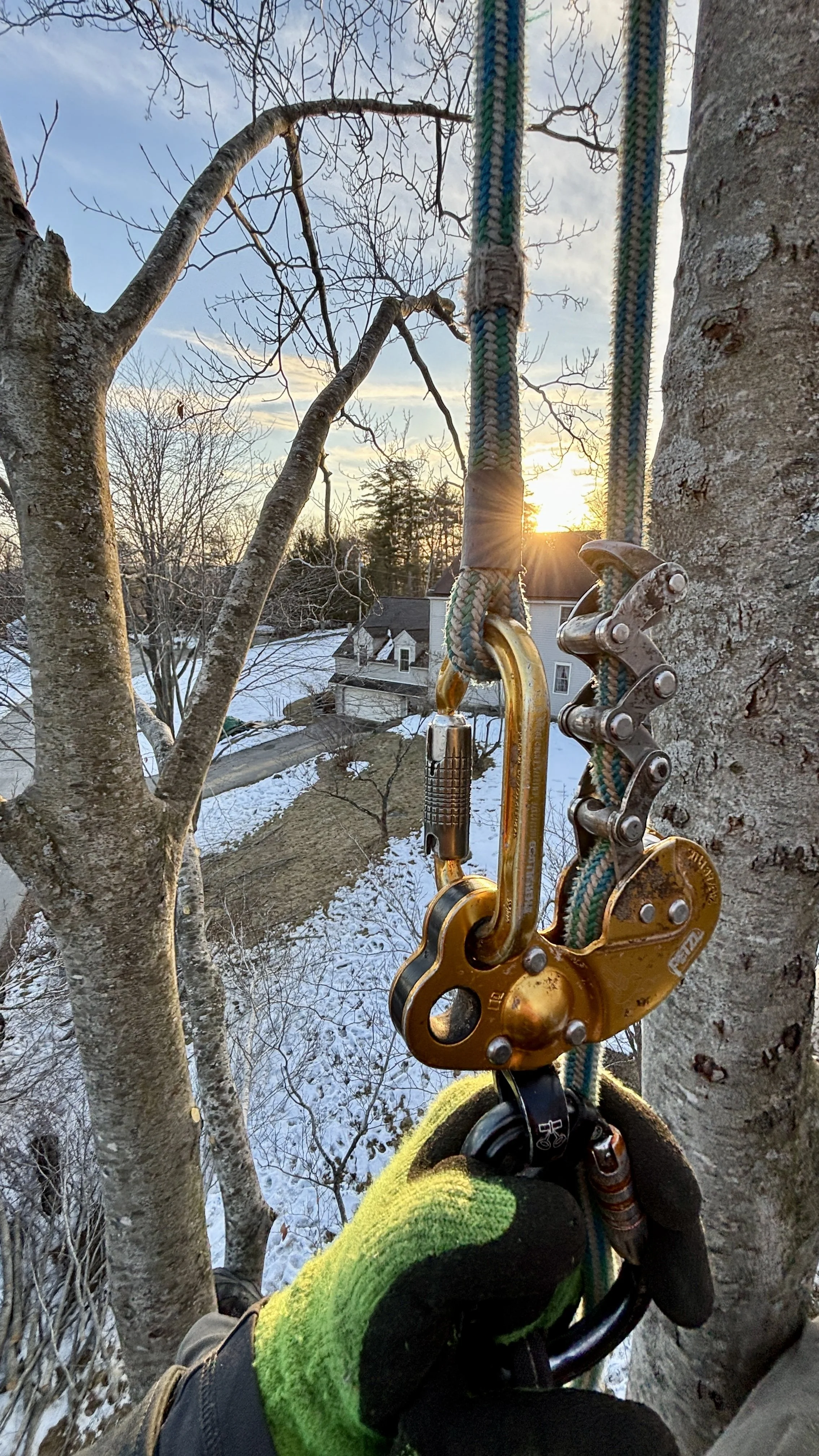 FullSizeRender 2 copy.jpg