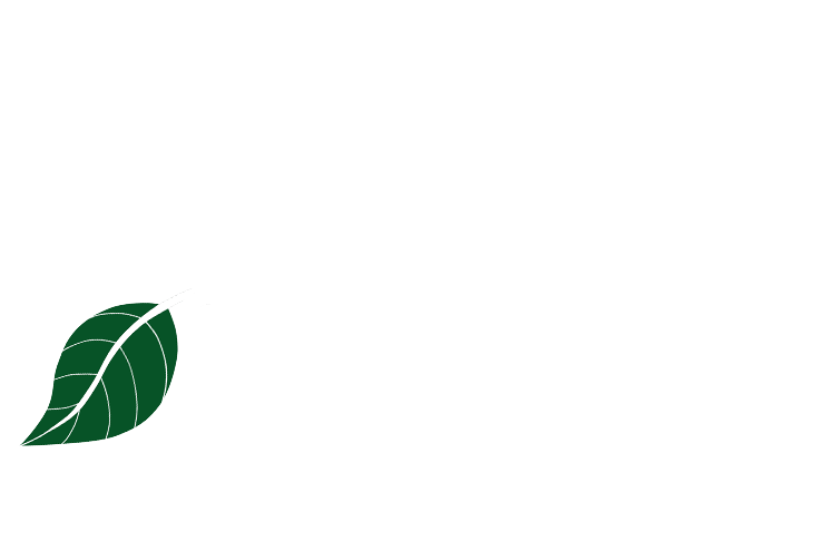 New England Tree Service