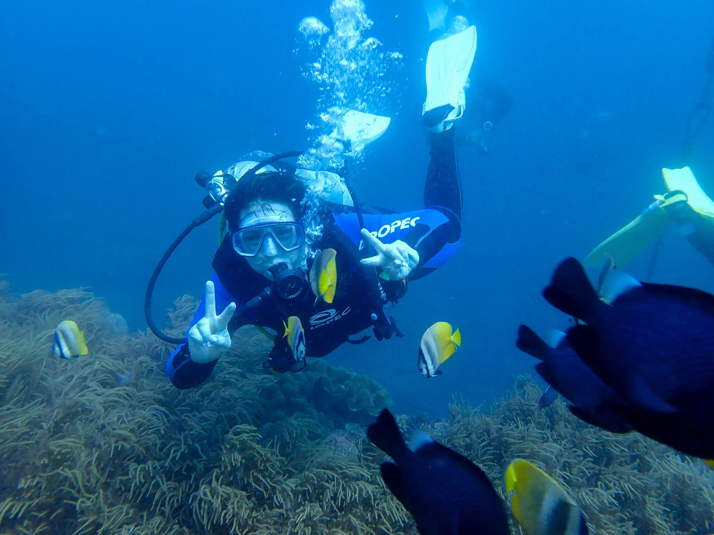 Kenting-Diving-2.jpg