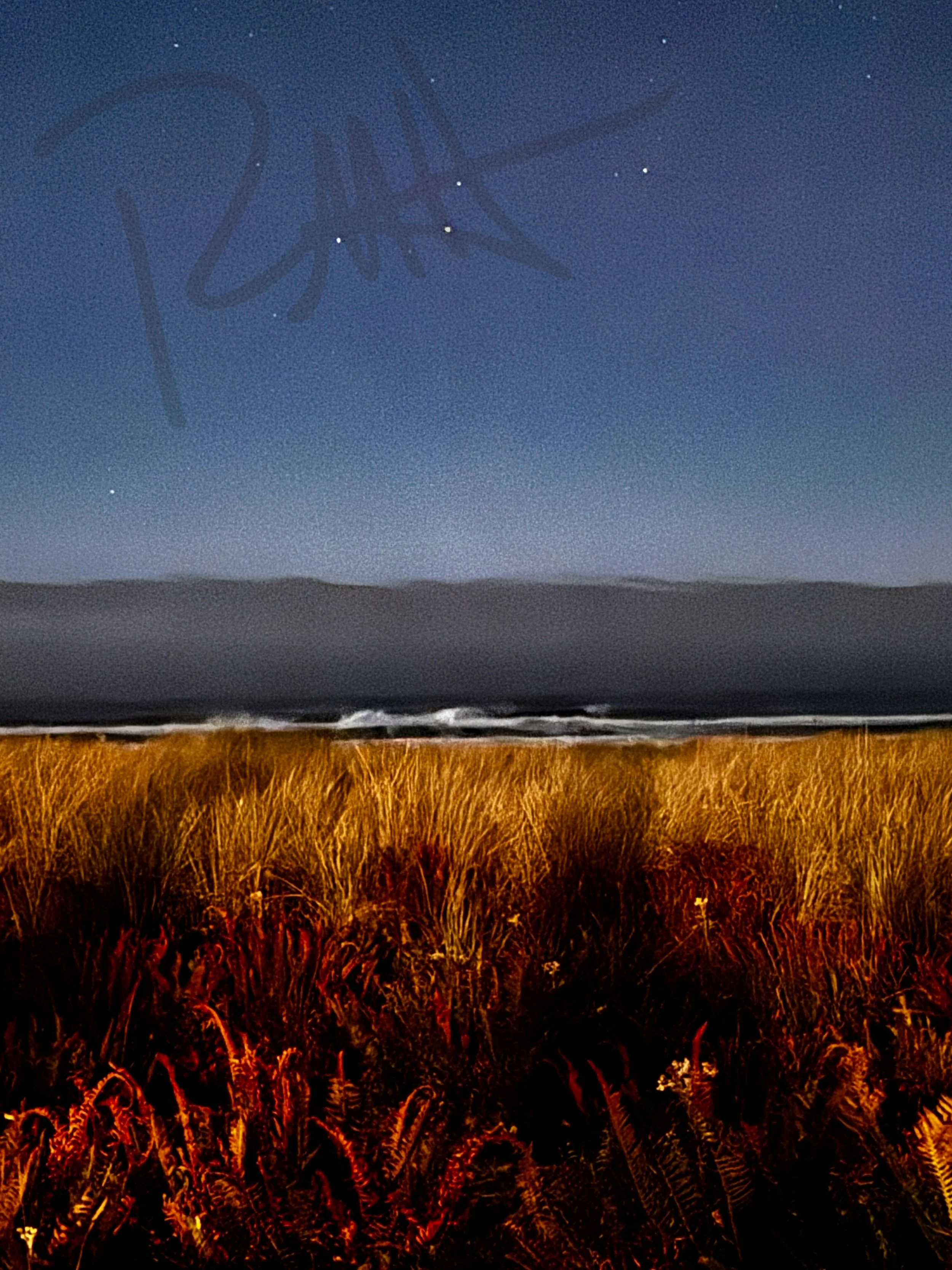 Moonrise Over Manzanita
