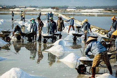 Salt Fields - Nha Trang