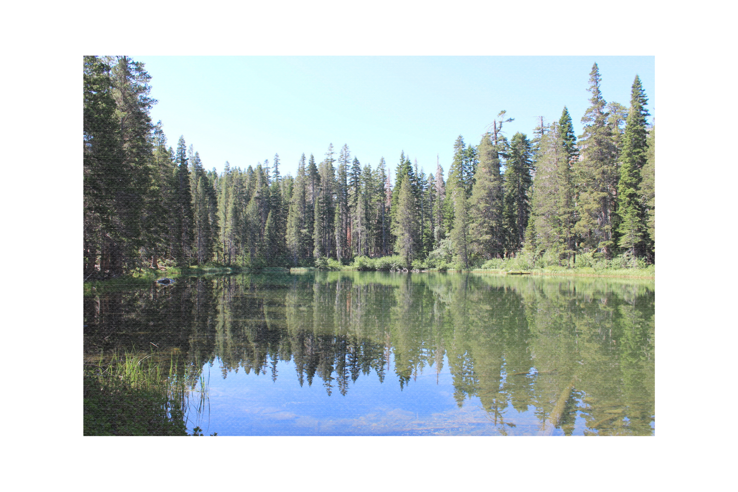 Floating Island Lake