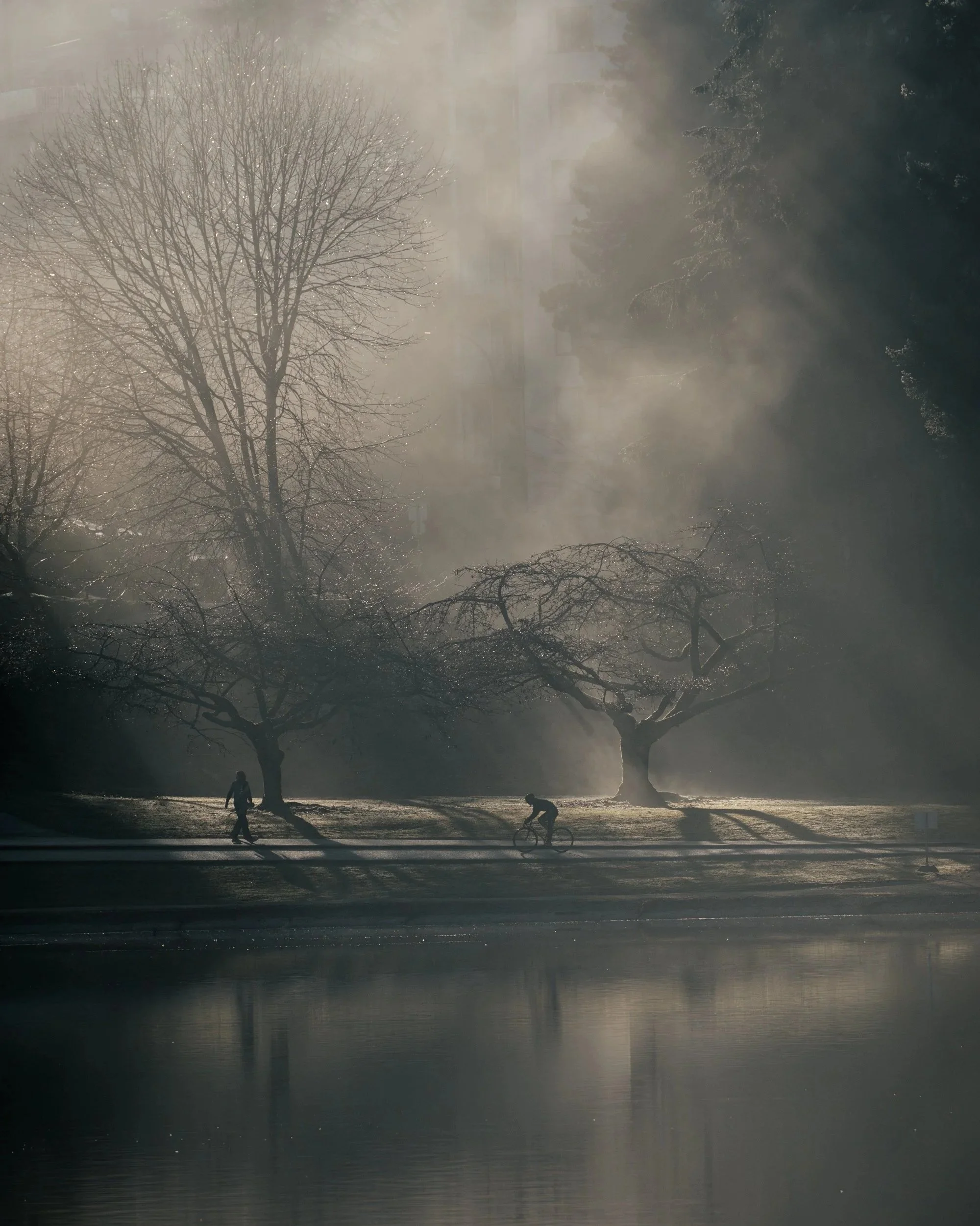 A foggy park scene with leafless trees, two people walking and one person cycling on a path, and their reflections visible in water.