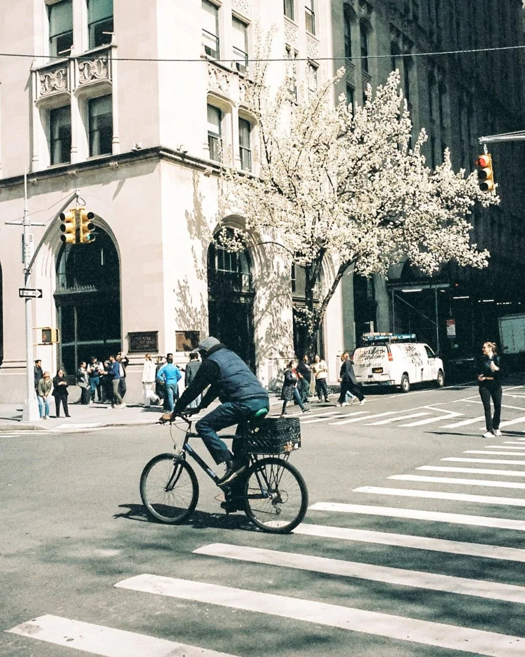 A city street scene with a cyclist crossing a crosswalk, several pedestrians waiting to cross, a flowering tree, and buildings with windows and balconies. A white van is parked on the side of the street, and traffic lights indicate a red signal.