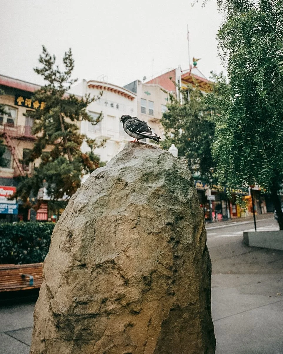 IMG-20241204-WA0076.png