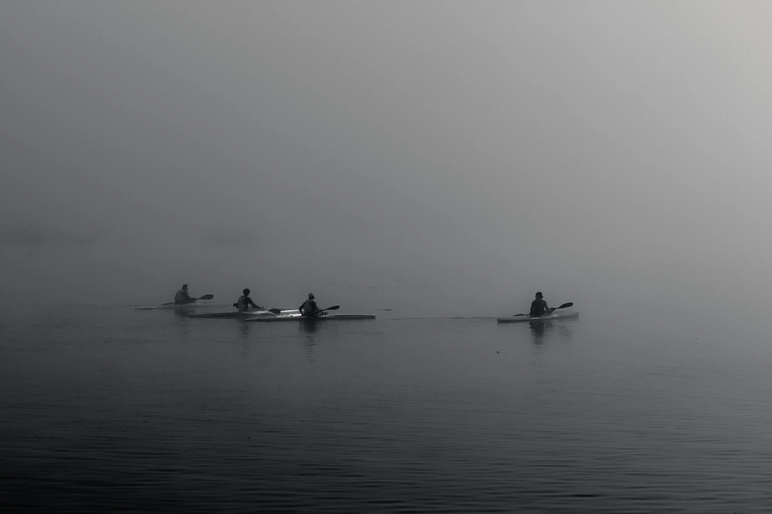 Four people kayaking on calm water under foggy sky.