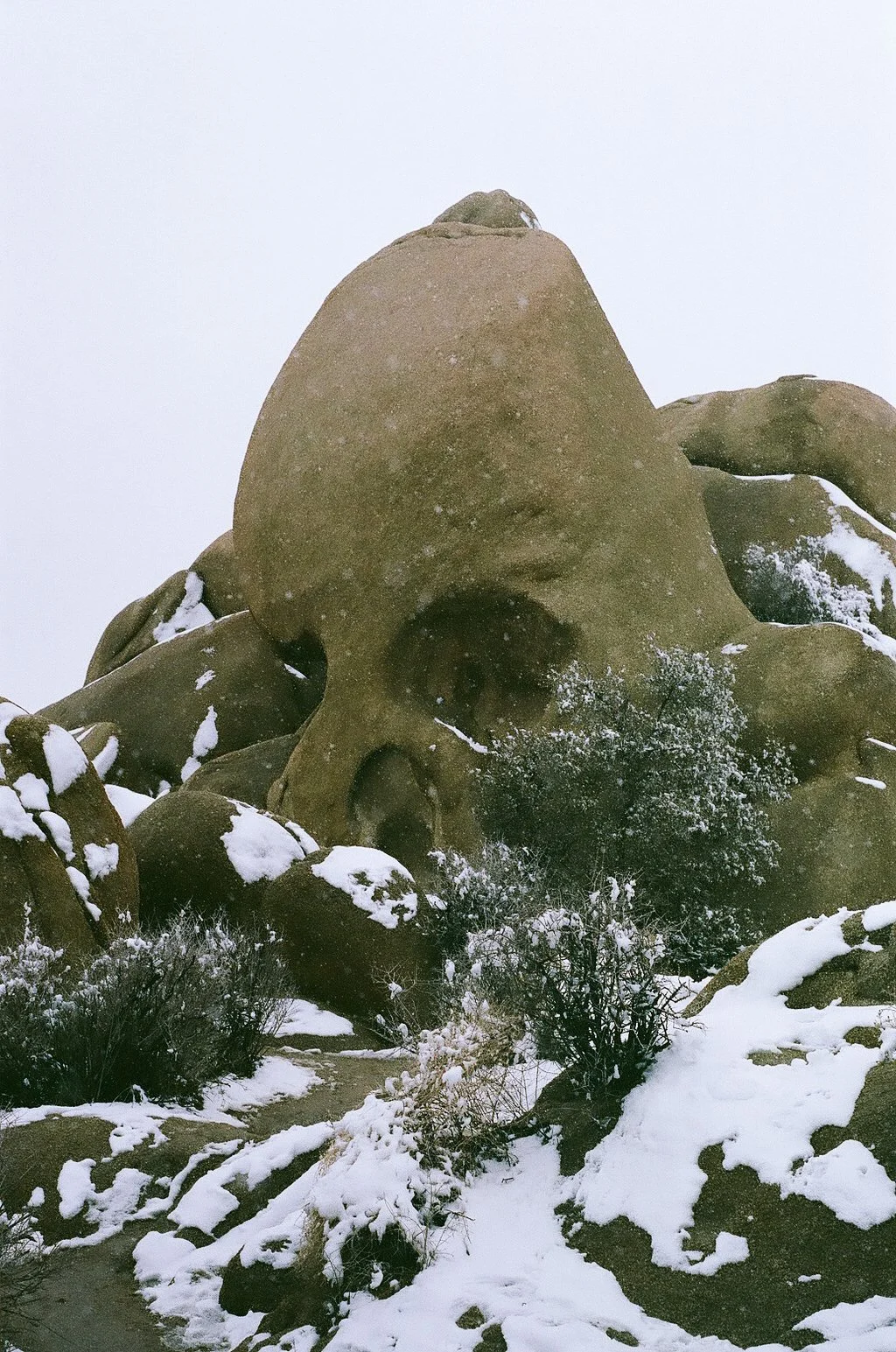 0014_13A81180014.jpg
