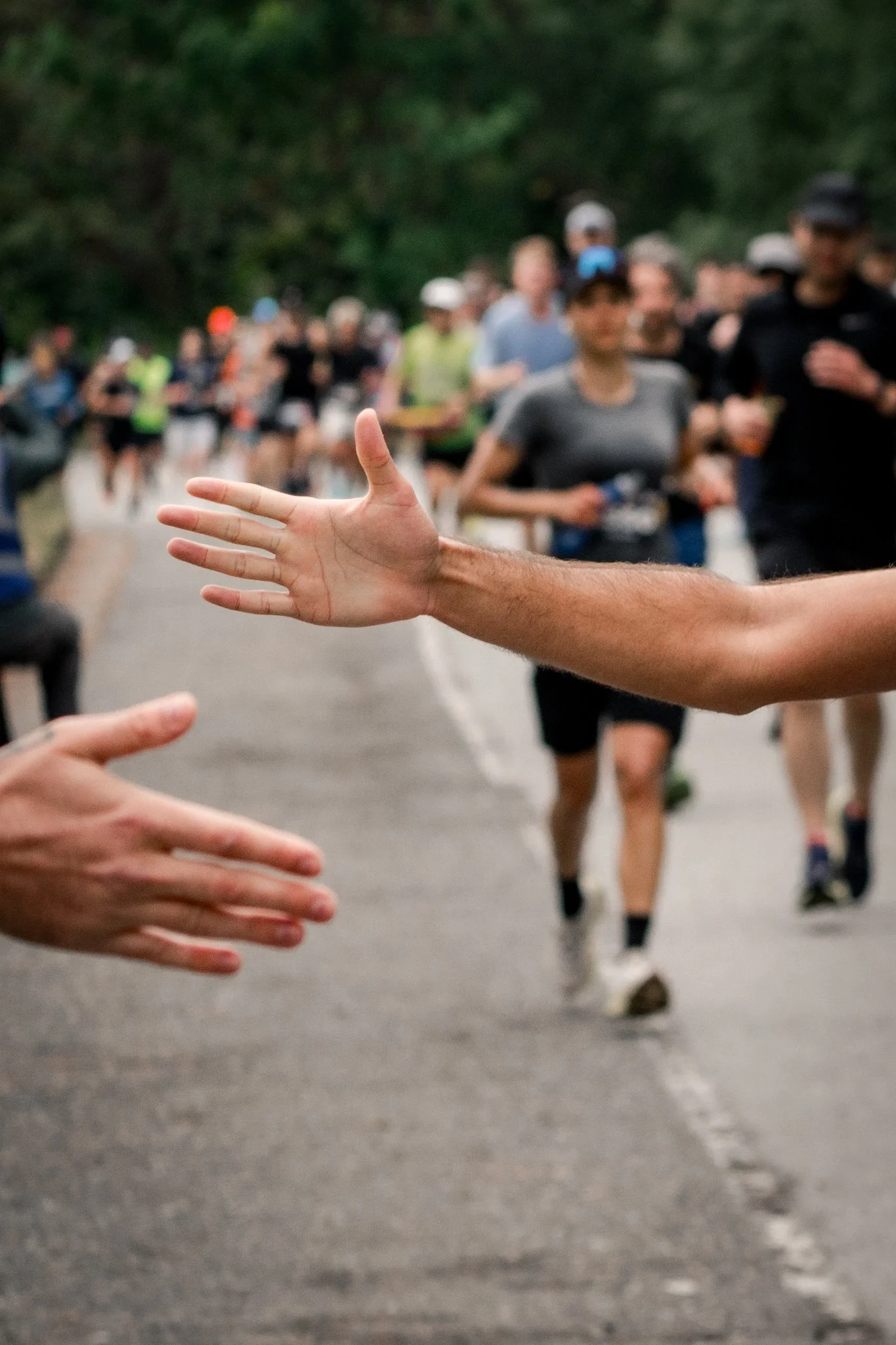 A marathon race with runners passing by on a road surrounded by trees. Two people are reaching out to high-five.