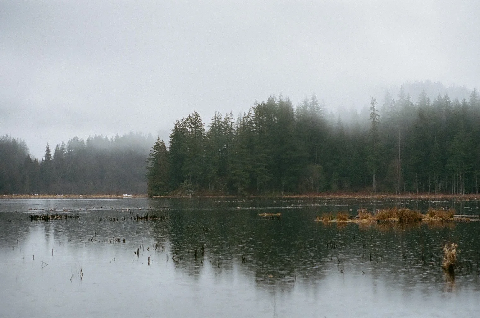 0002_1A81190002.jpg