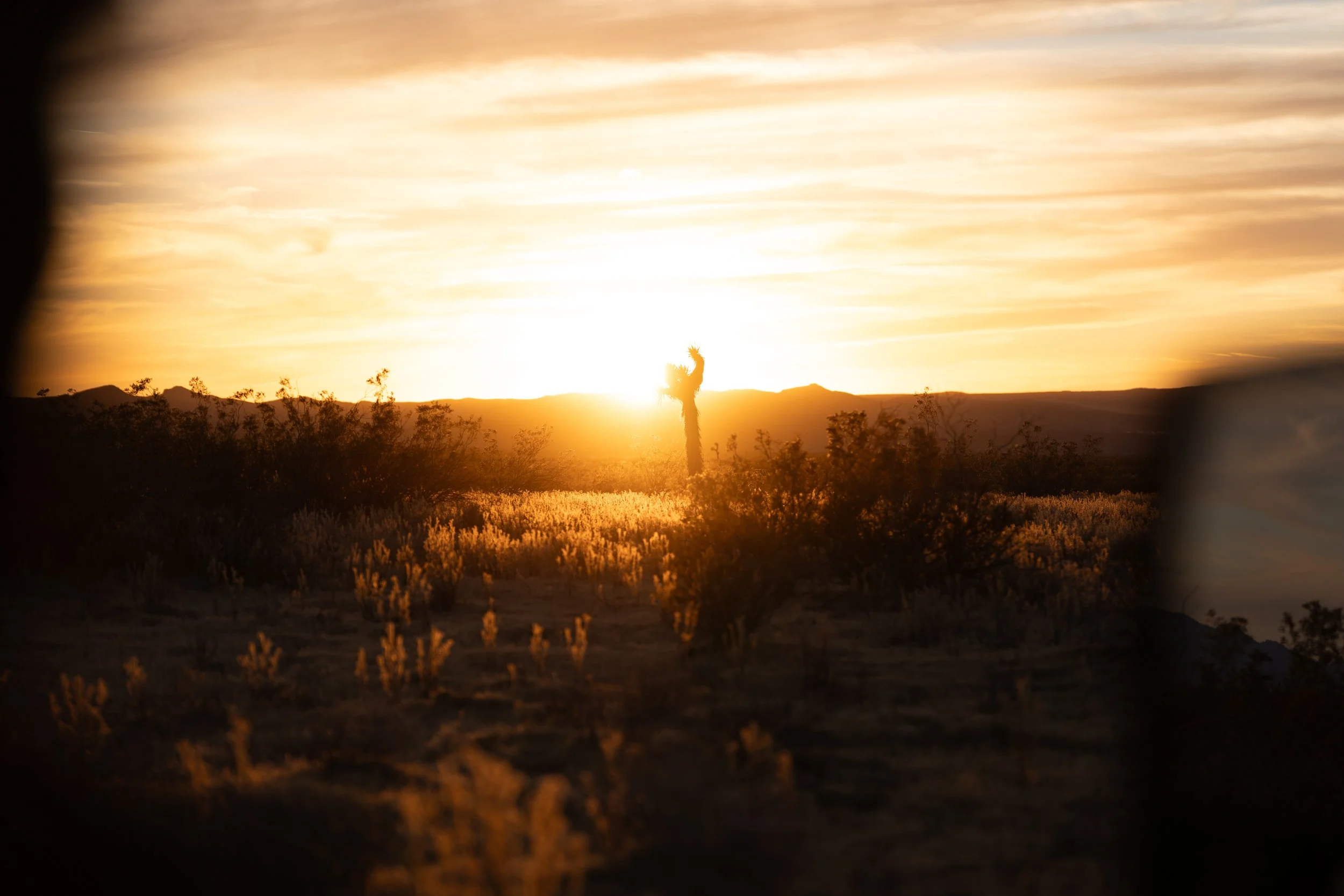 Desert landscape at sunset with a saguaro cactus in the center, silhouetted against a bright orange sky.