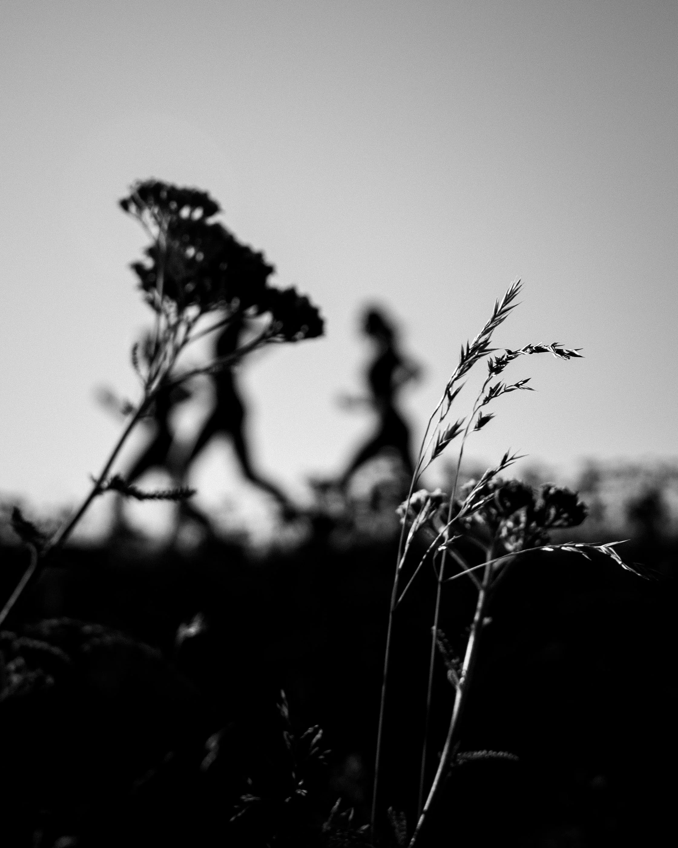 08-06-26-BethWhitheadPhoto-Hettas-CambiePreSale-9884.jpg