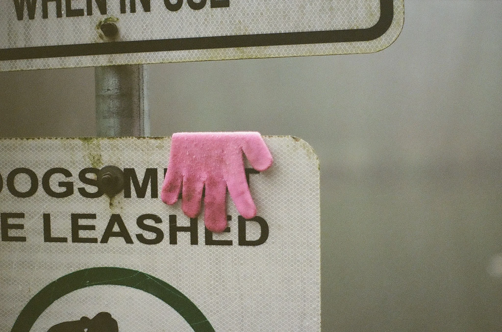 A pink rubber glove hanging from a sign that reads "When in doubt, wash your hands" in black text on a white background.