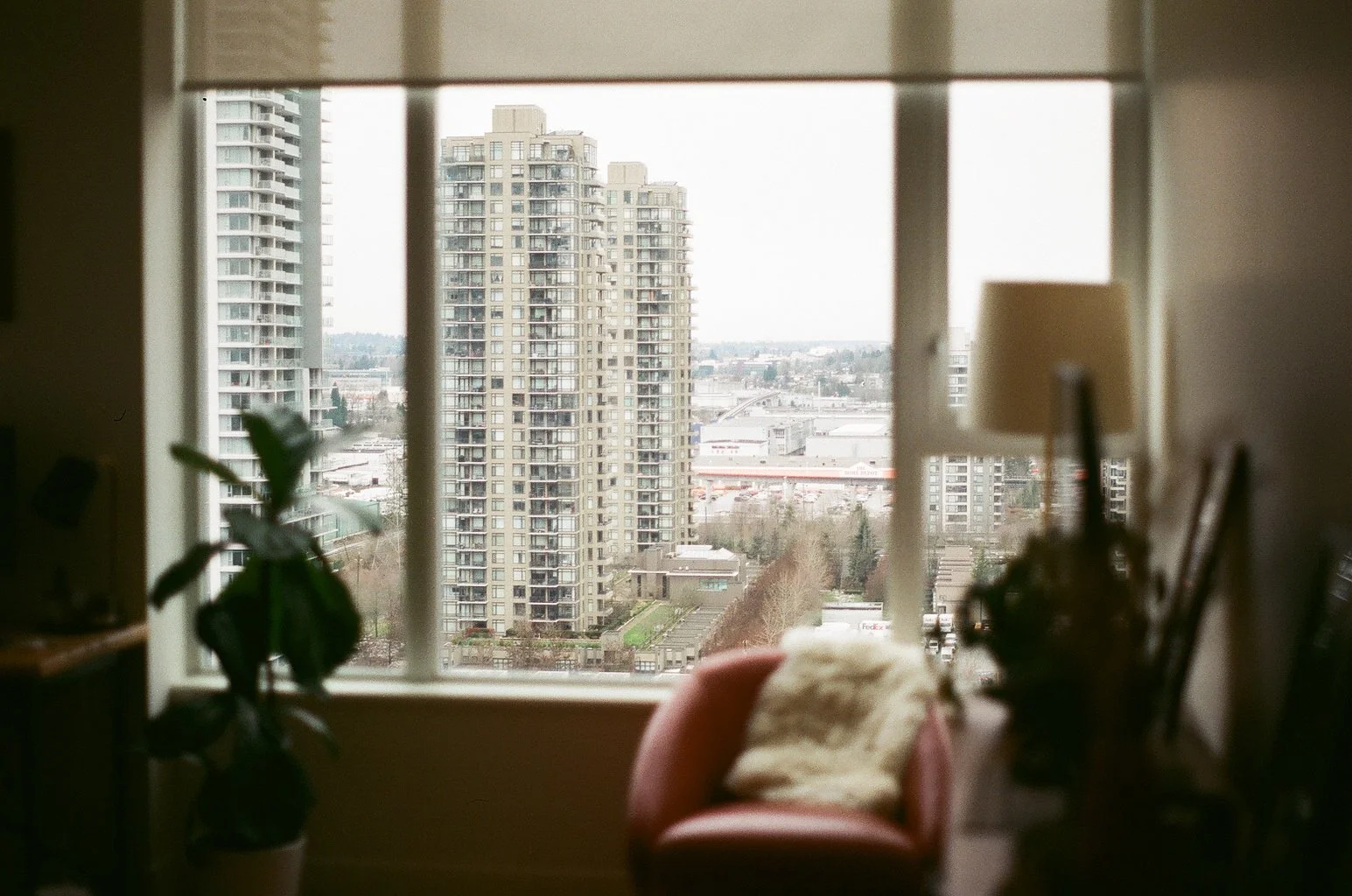 0035_198090035.jpg