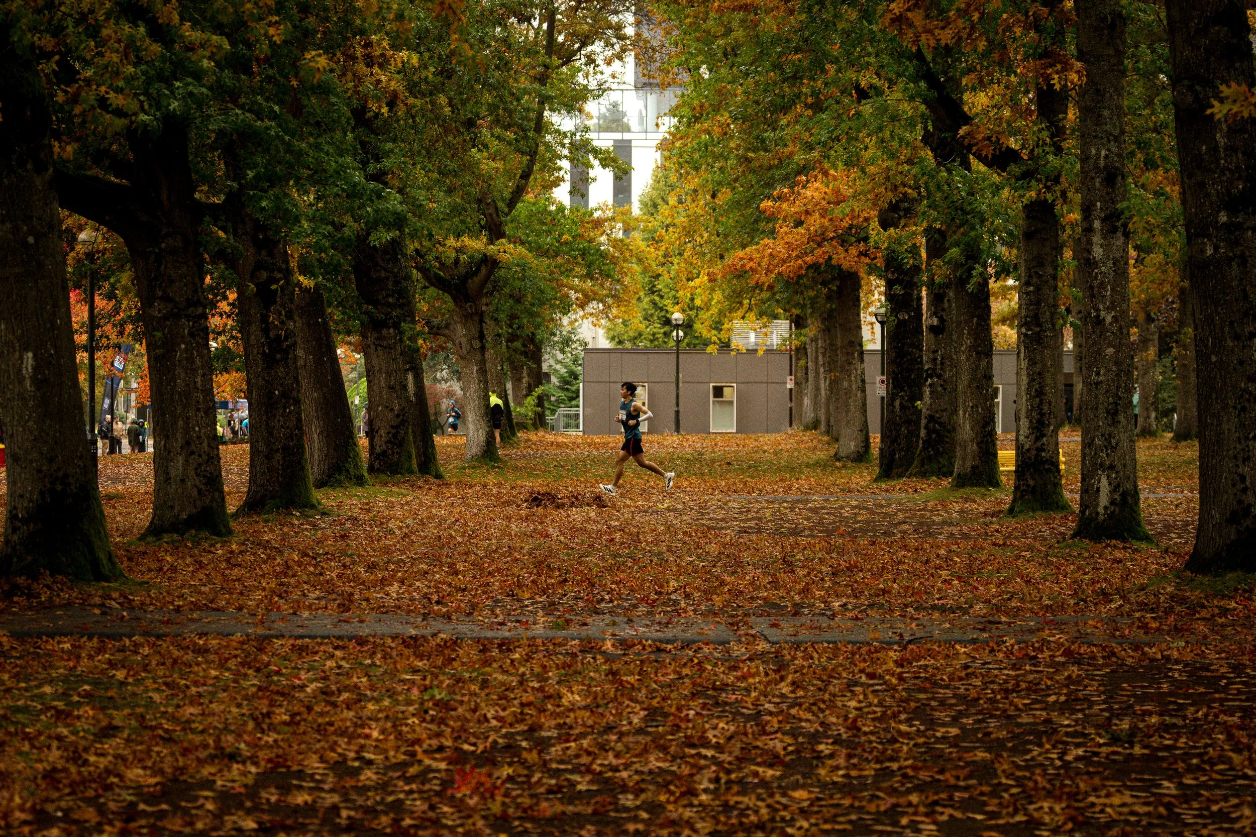 A person running through a park lined with large trees with autumn-colored leaves on the ground and in the trees.