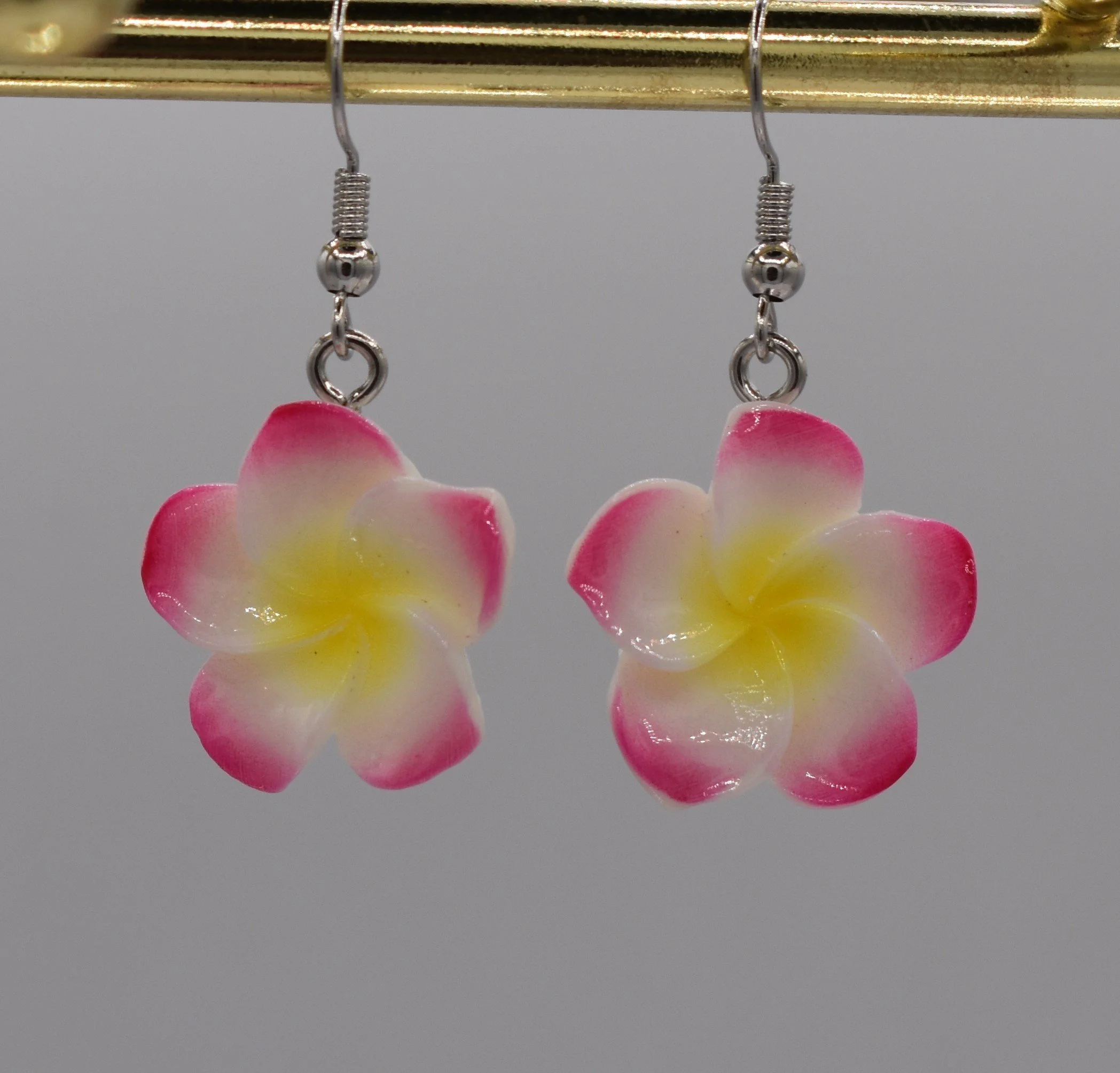 Pink_White Flower.JPG
