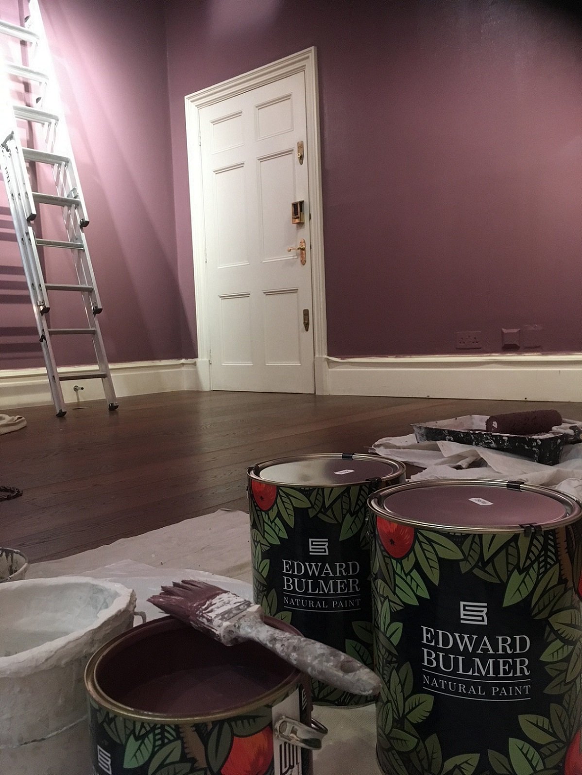 Plant based edward bulmer paint.jpg