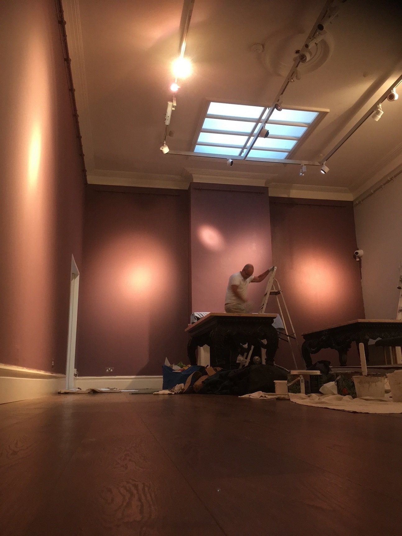 painter painting gallery plant based paint.jpg