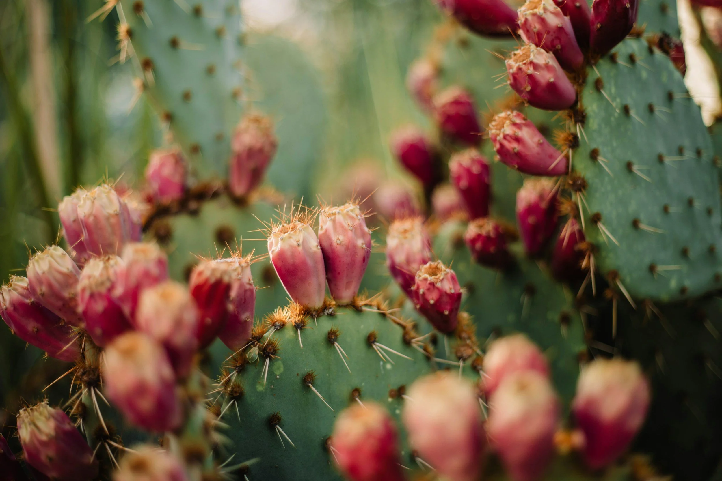 From Endometriosis to Menopause: The Hidden Mental Health Impact of Hormonal Changes