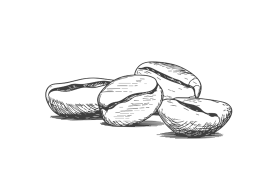 image of coffee beans | CrashMurderBusiness Coffee | coffee shop in Santa Fe | coffee shop railyard santa fe nm