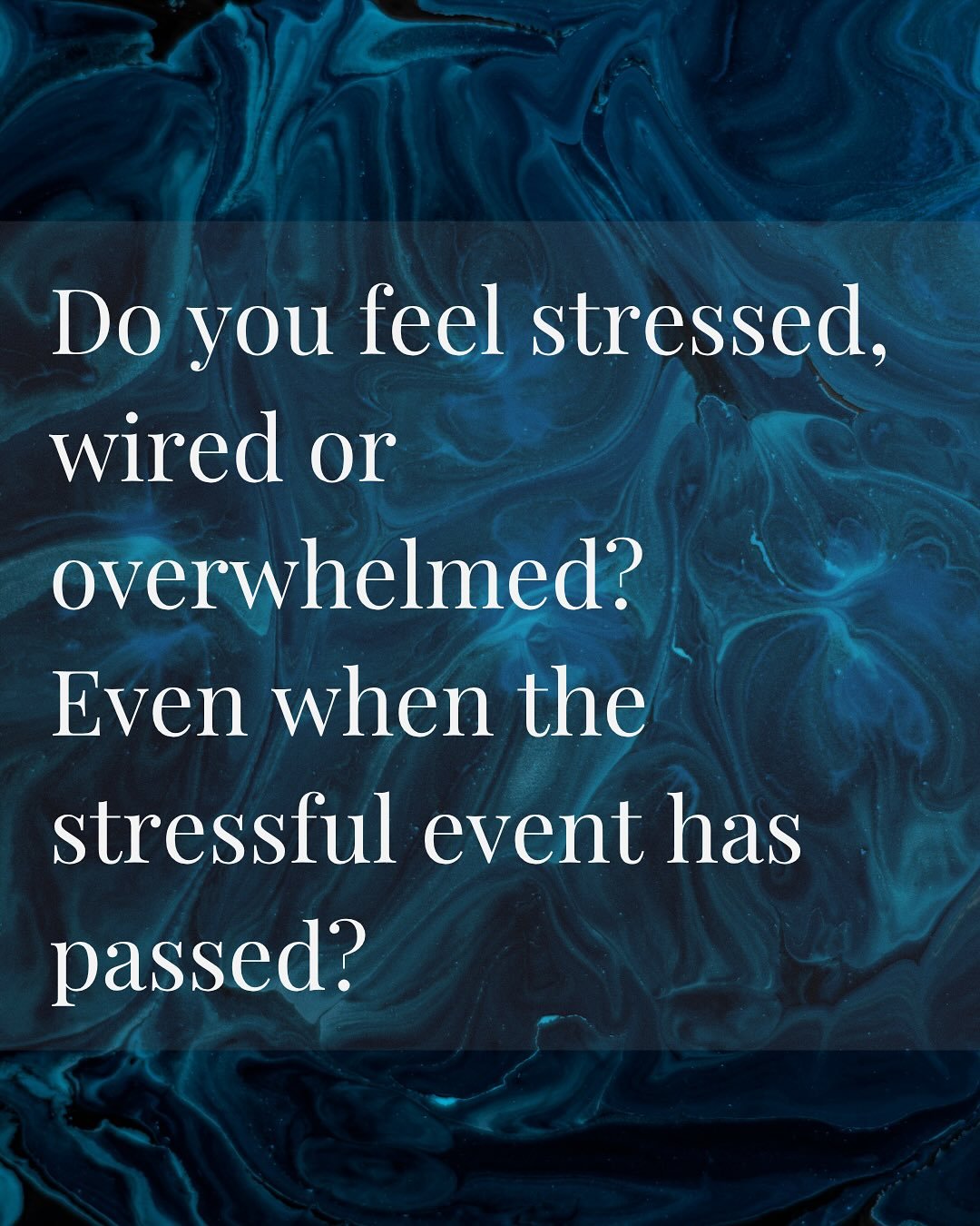 The HPA Axis &mdash; &ldquo;The Hypothalamic Bridge&rdquo;

The Hypothalamic Bridge is the point inside the brain where perception becomes biology. It is where the body learns whether it is safe enough to relax or whether it must keep defending.

Thi