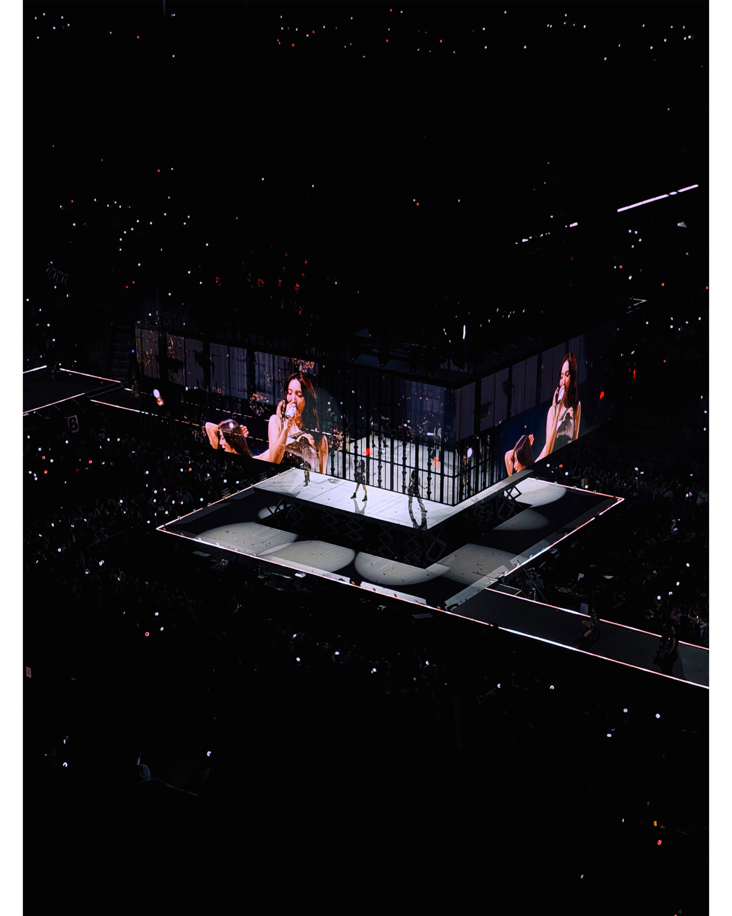 IMG_6674.PNG