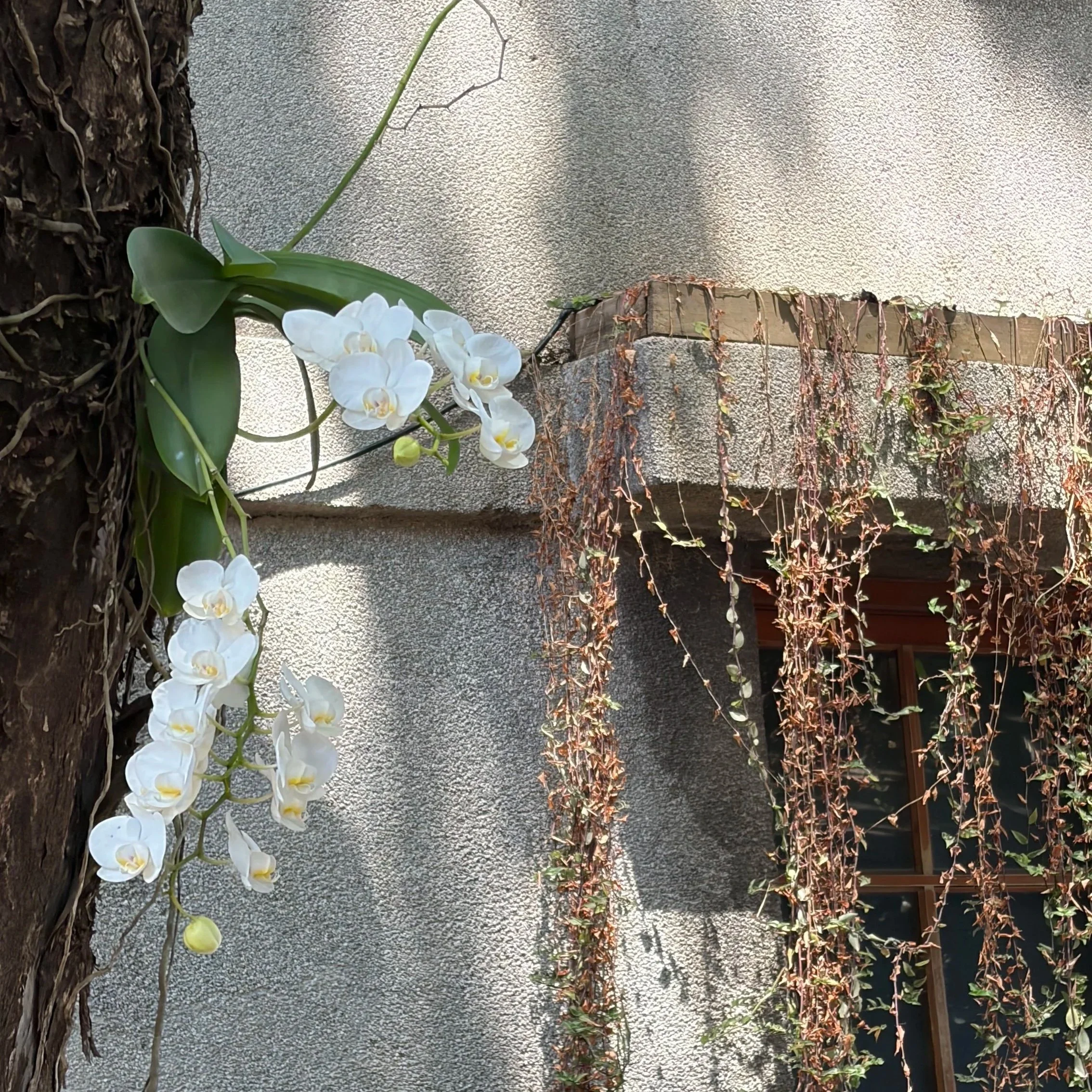 Taipei (台北市), Spring