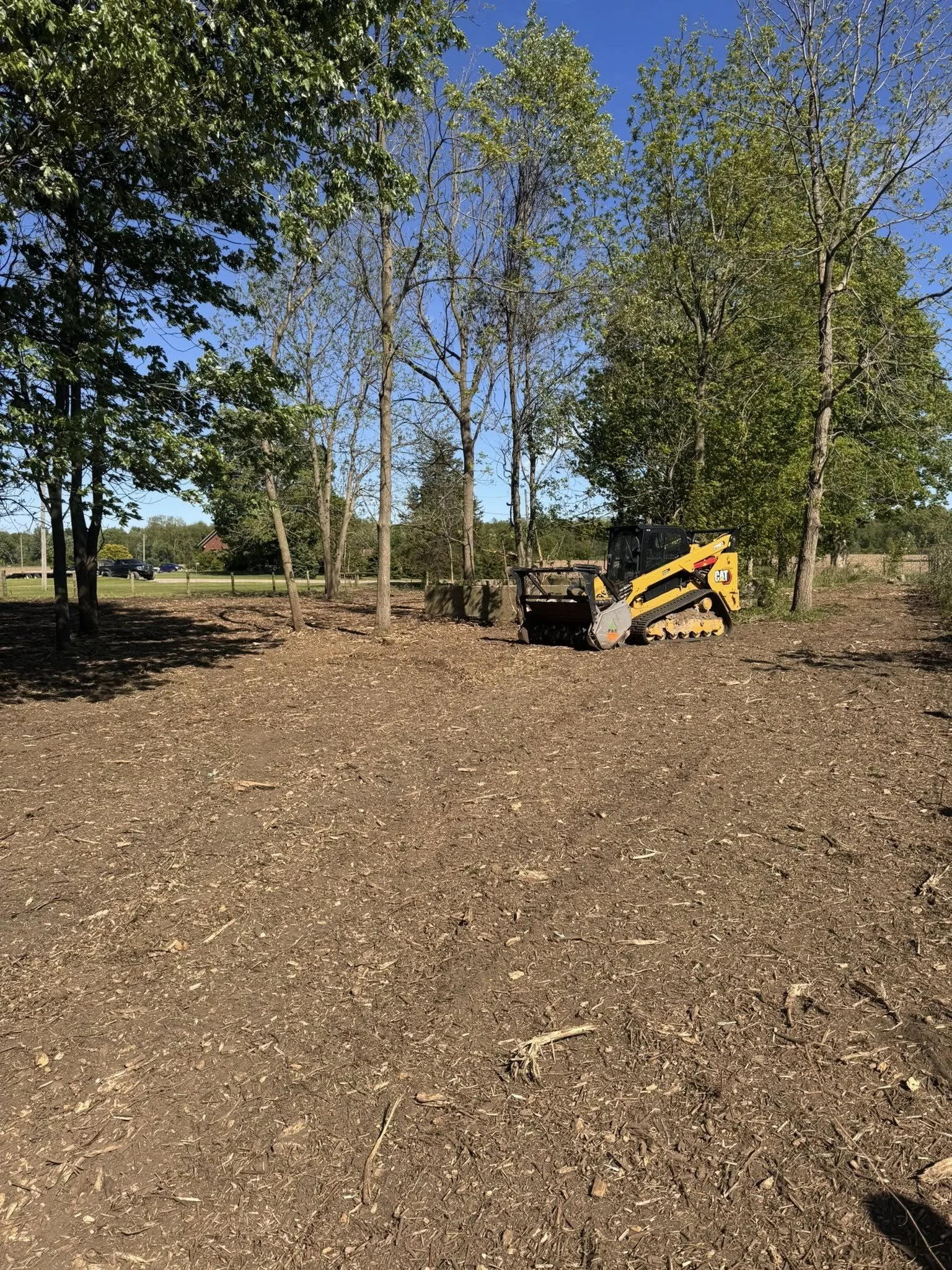Forestry mulching clearing dense brush and overgrowth with skid steer equipment
