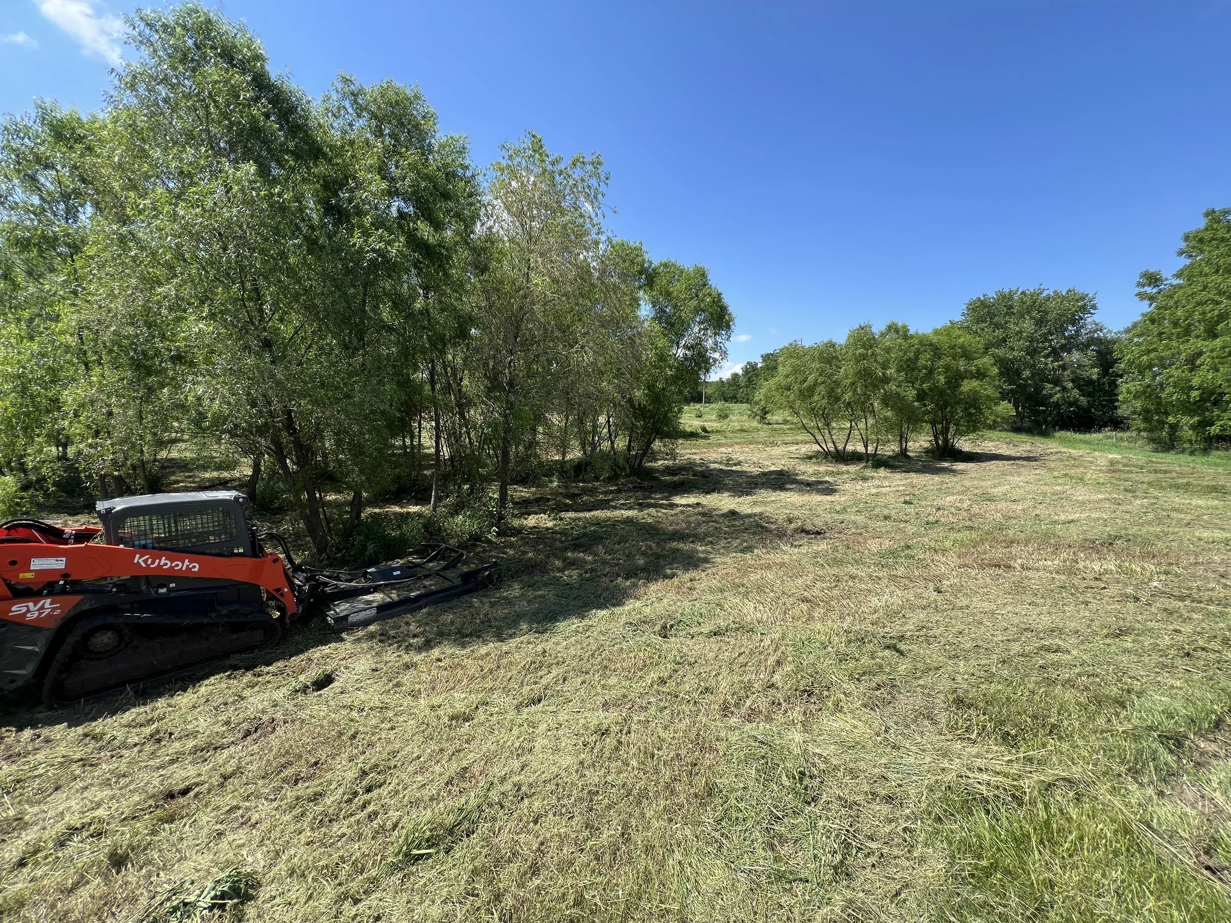 Land and brush clearing removing overgrown vegetation in Kansas City