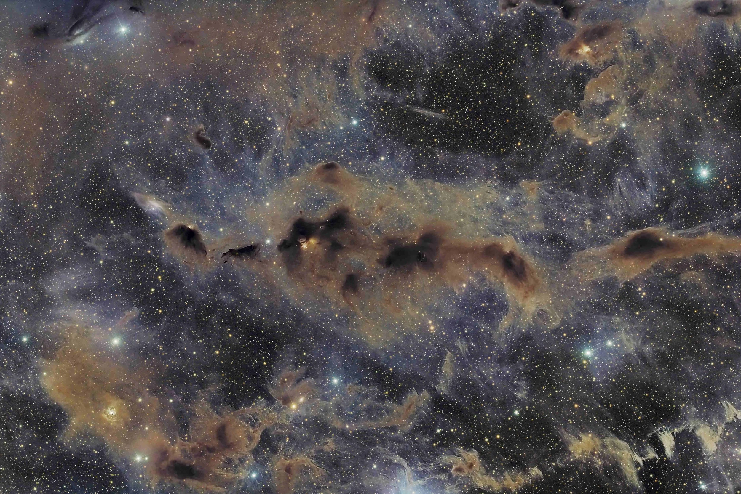 Barnard 18 Lo Res.jpg