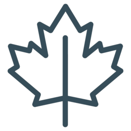 Outline of a maple leaf in teal green