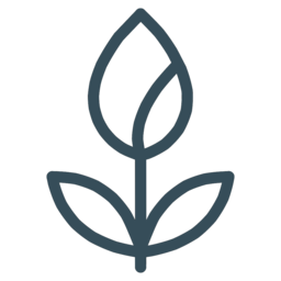 Minimalist outline of a spring flower rising