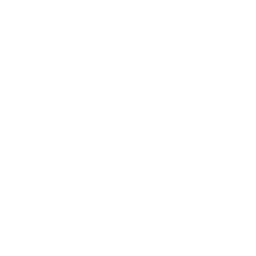 White winter snowflake on teal green background