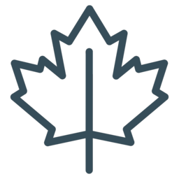 Minimalist line drawing of a maple leaf